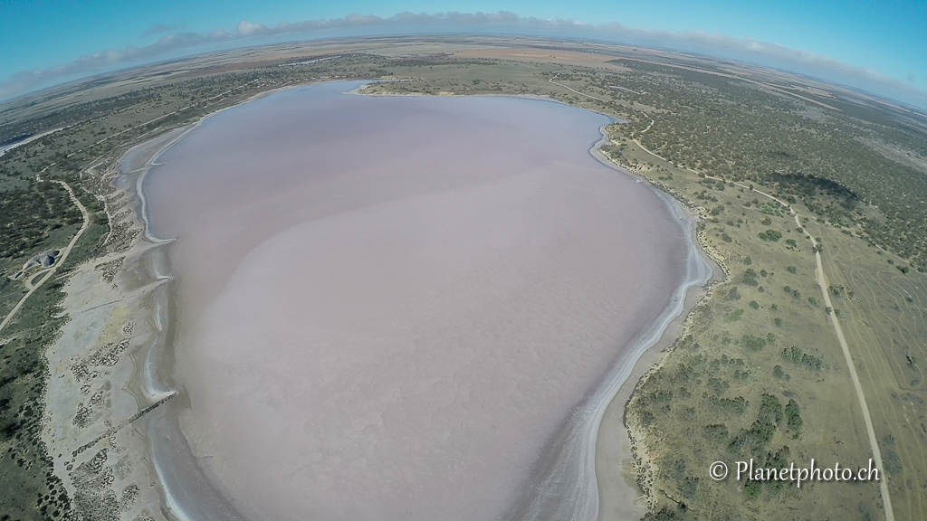 Salt pink lake