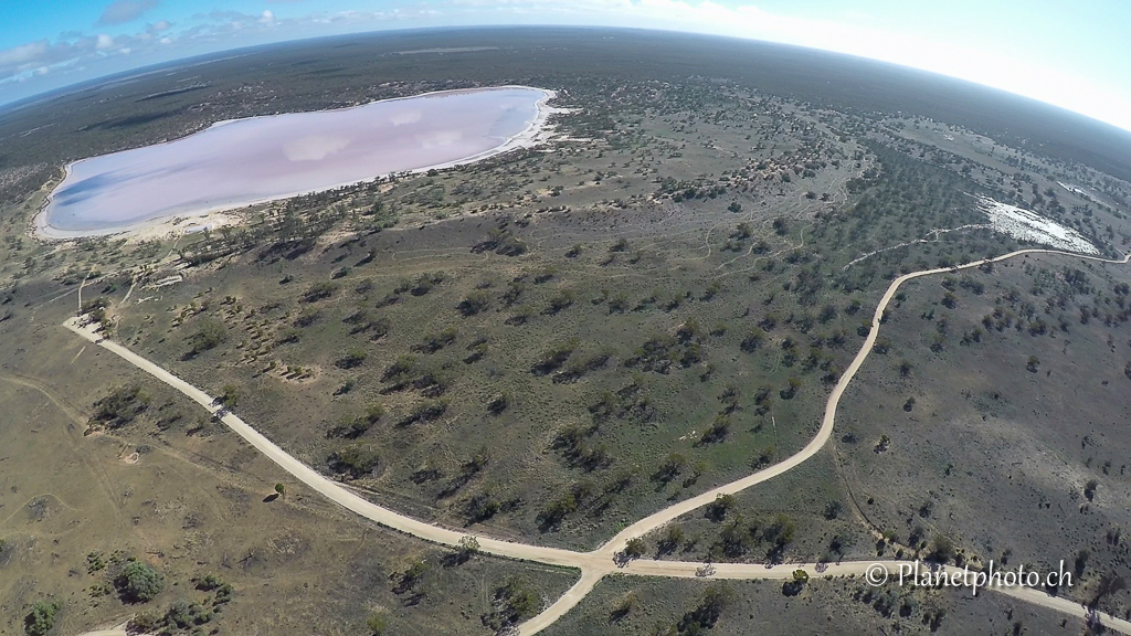 Salt pink lake