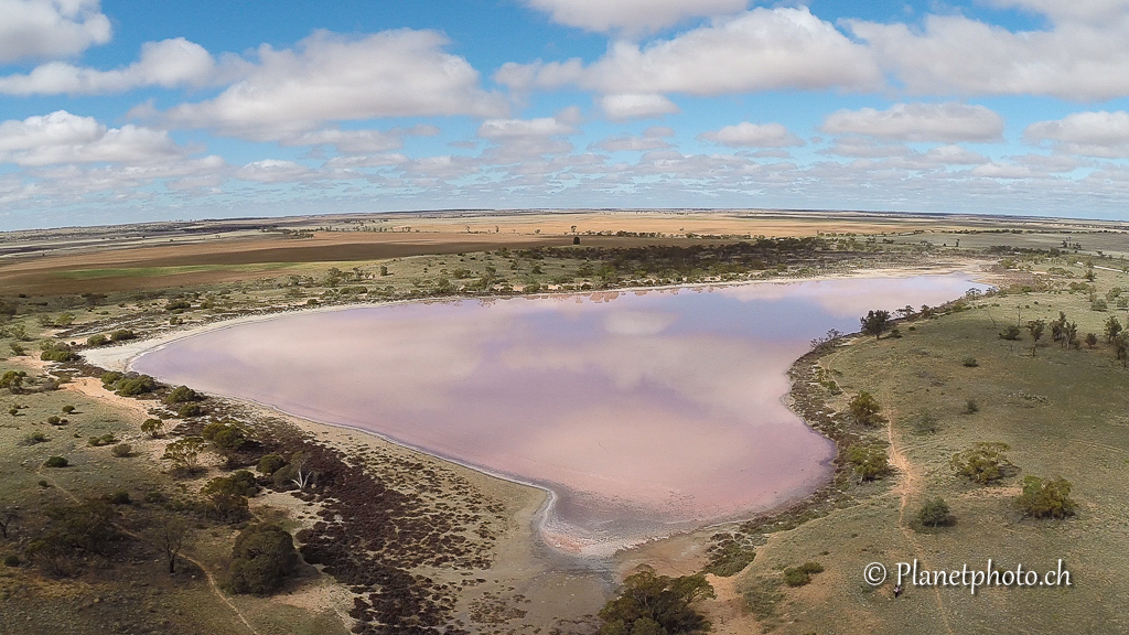 Salt pink lake