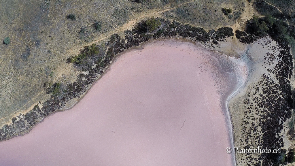 Salt pink lake