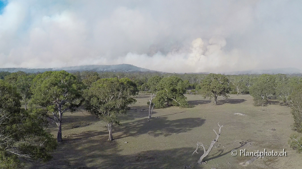 Grampians Nat. Park