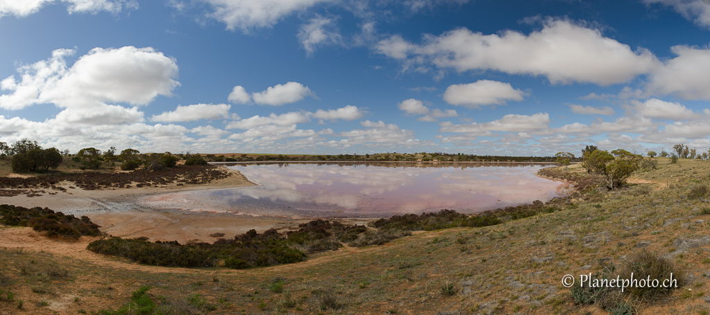 Lake Hardy - Pink Lake