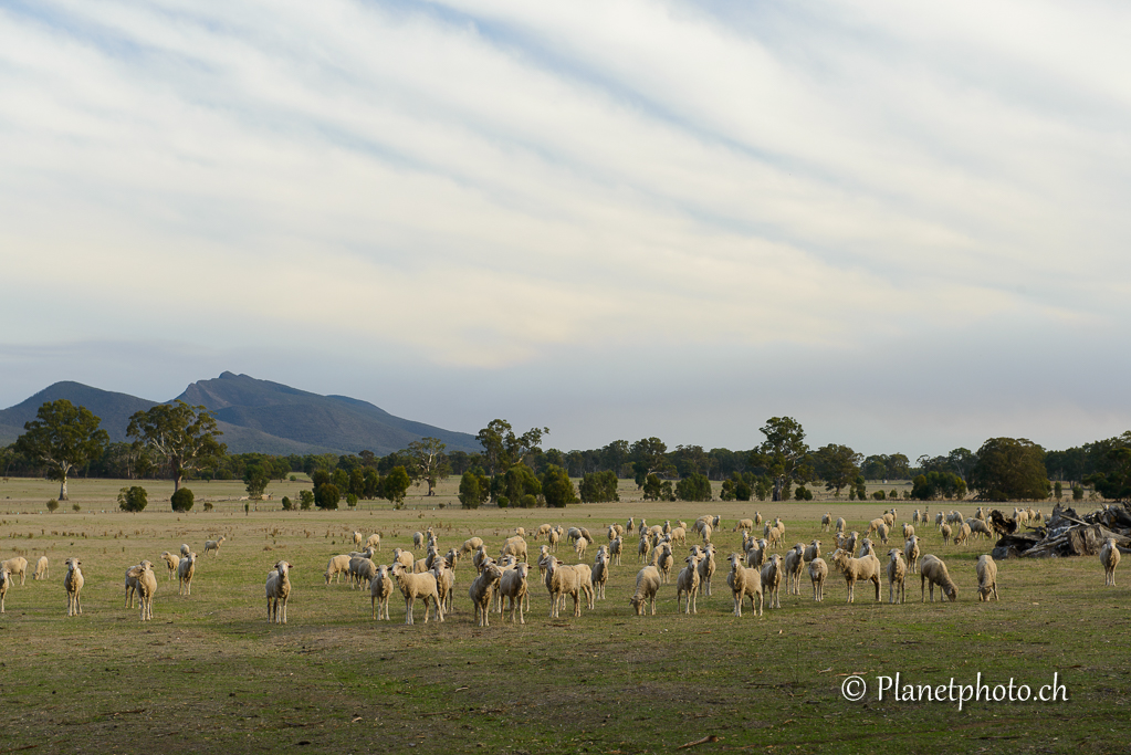 Grampians Nat. Park