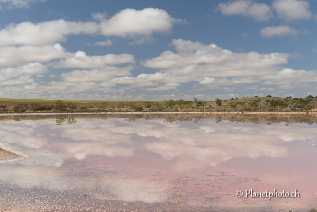 Lake Hardy - Pink Lake