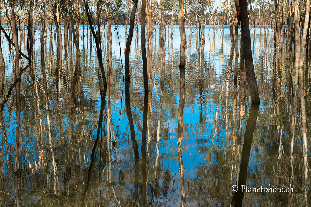 Murray River