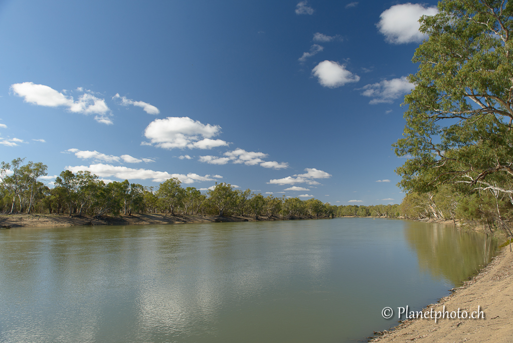 Murray River