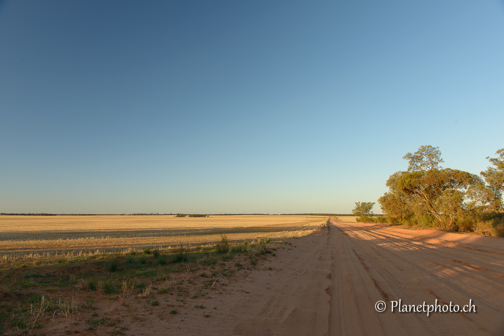 Mungo Nat Park