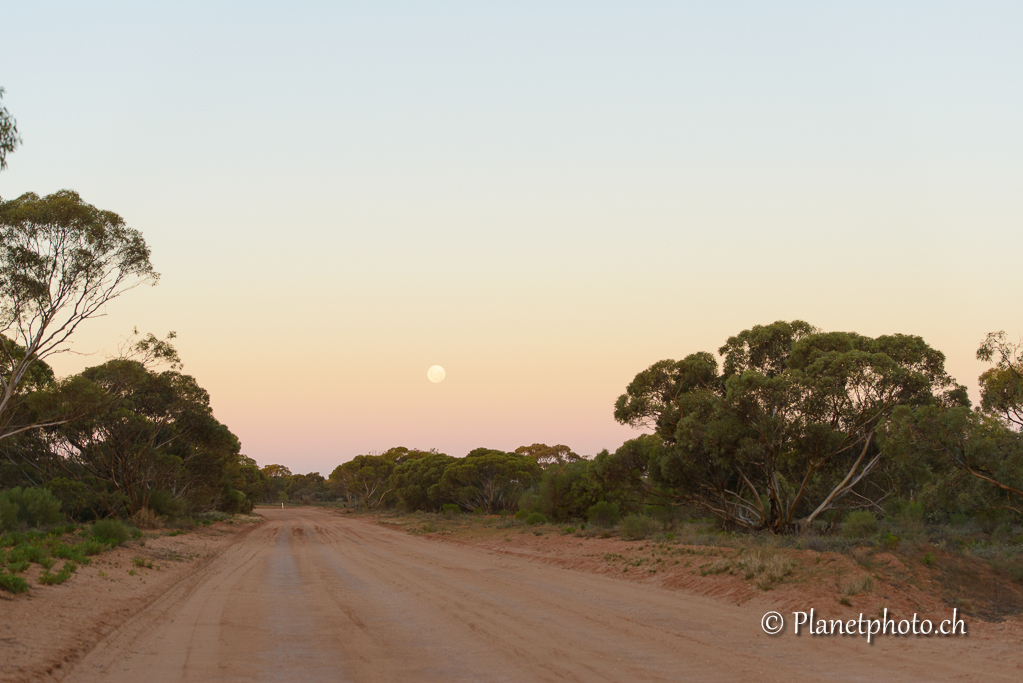 Mungo Nat Park