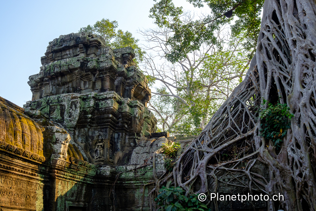 Siem Reap - Temples d'Angkor