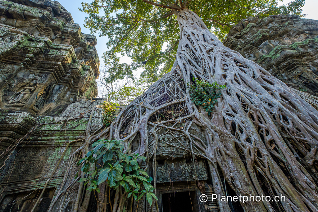 Siem Reap - Temples d'Angkor