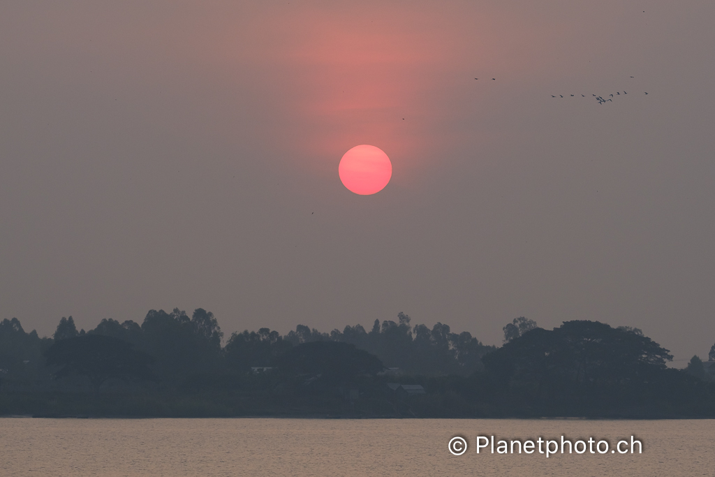 Mekong