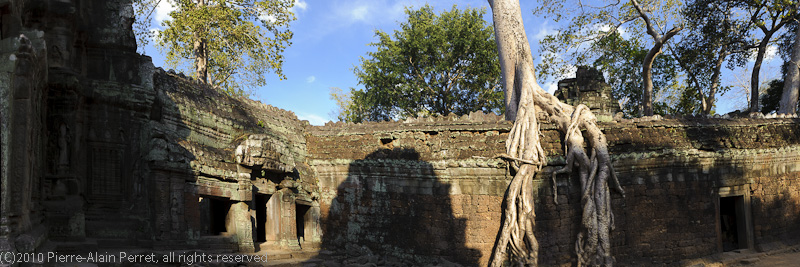 Angkor - Ta Prohm