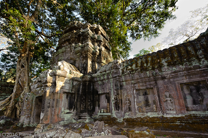 Angkor - Ta Prohm