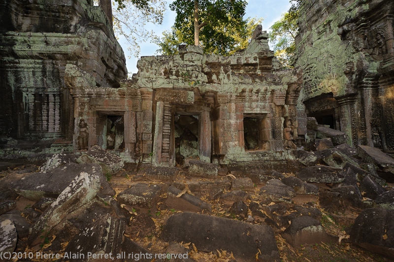 Angkor - Ta Prohm