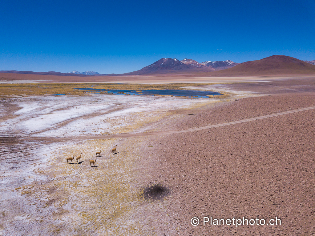 Atacama-Uyuni-Valpareiso