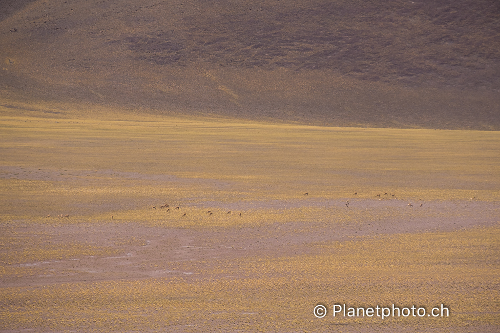 Atacama-Uyuni-Valpareiso