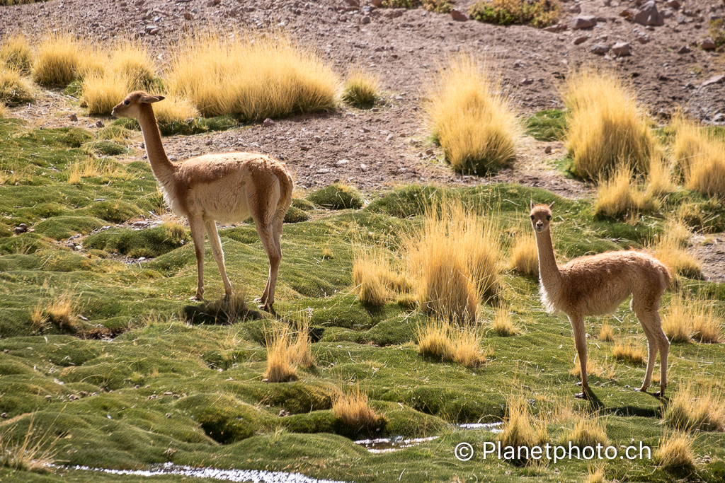 Atacama-Uyuni-Valpareiso