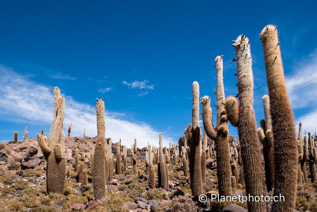 Atacama-Uyuni-Valpareiso