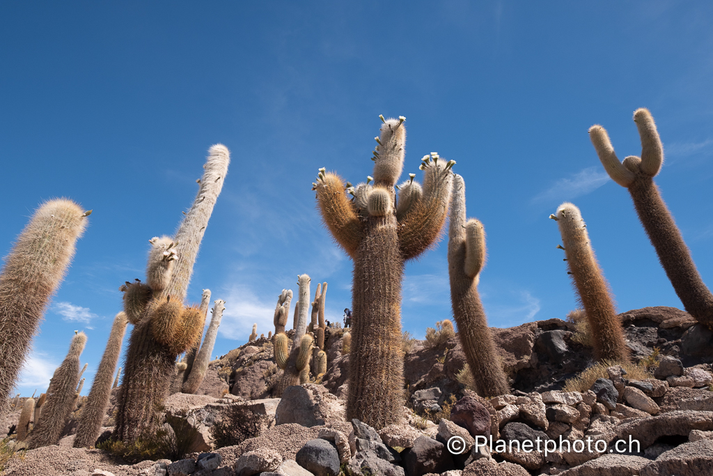 Atacama-Uyuni-Valpareiso