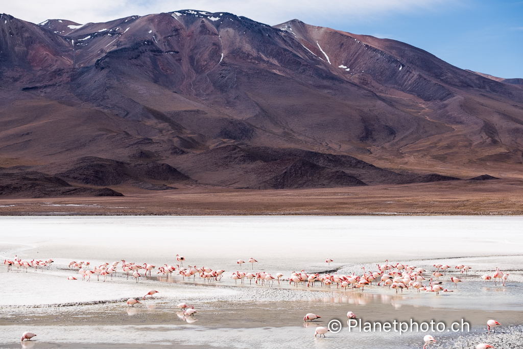 Atacama-Uyuni-Valpareiso