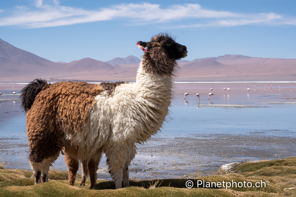 Atacama-Uyuni-Valpareiso