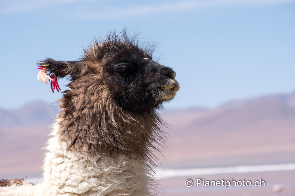 Atacama-Uyuni-Valpareiso