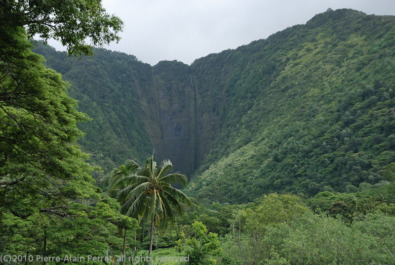 USA - HAWAII juillet 2009