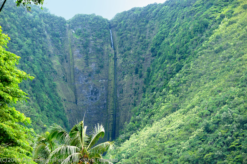 USA - HAWAII, Big Island