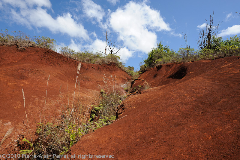 USA - HAWAII, Kauai island, Waimea canyon