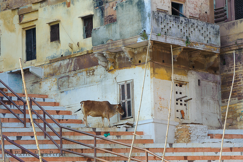 Varanasi (Bénarès)