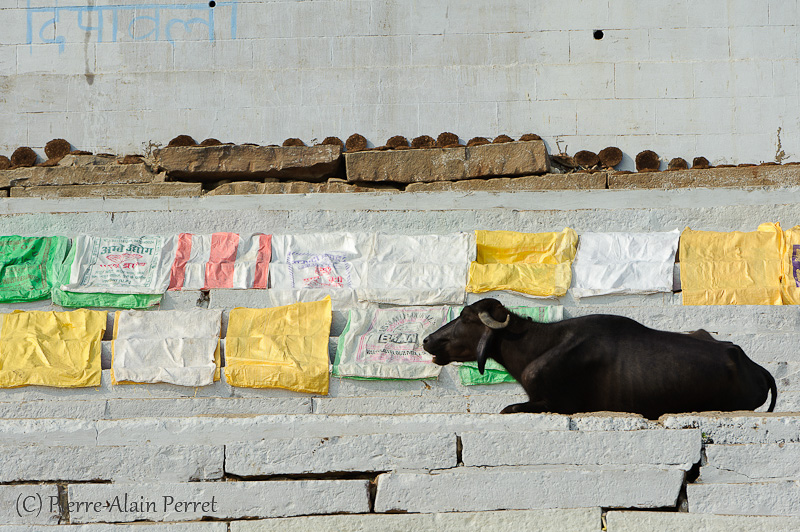 Varanasi (Bénarès)