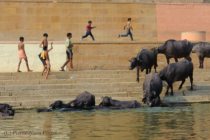 Varanasi (Bénarès)