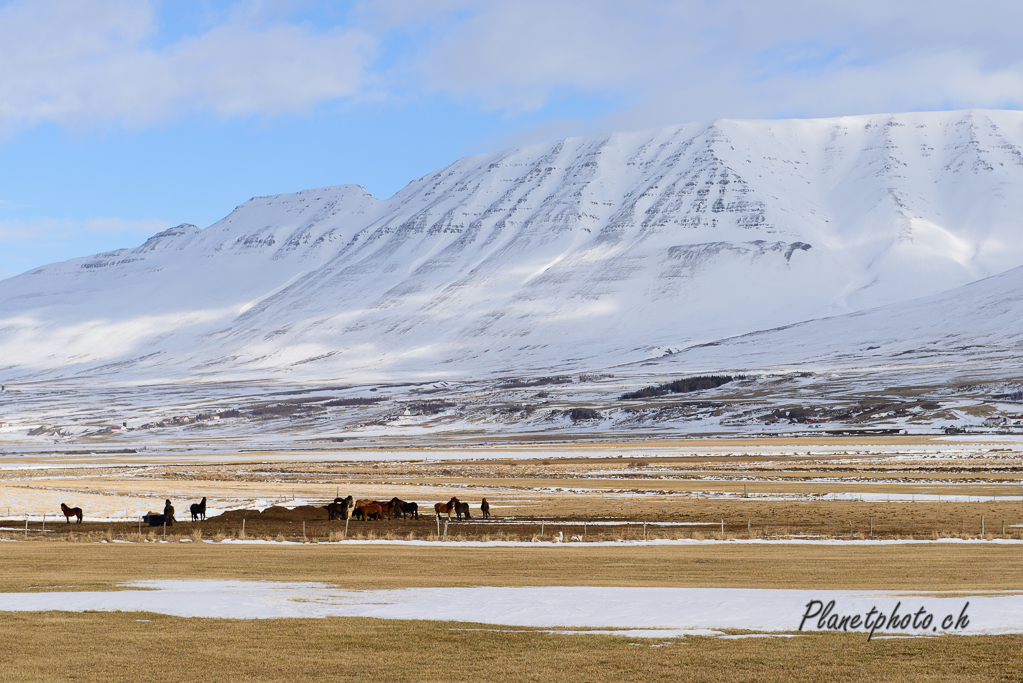 Région de Akureyri