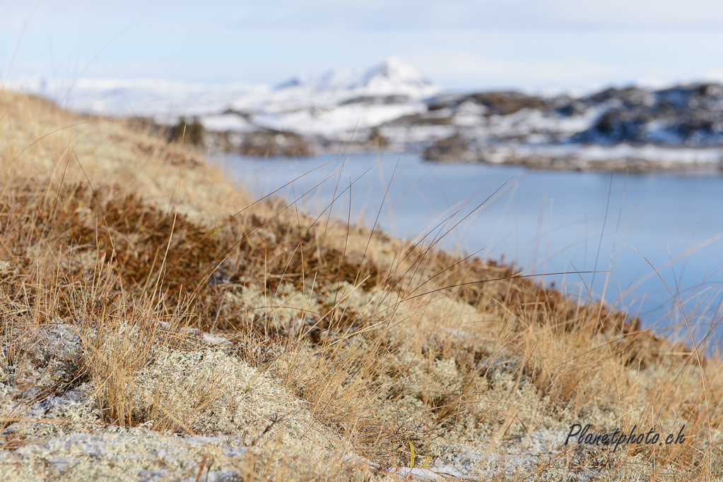 Lac Myvatn