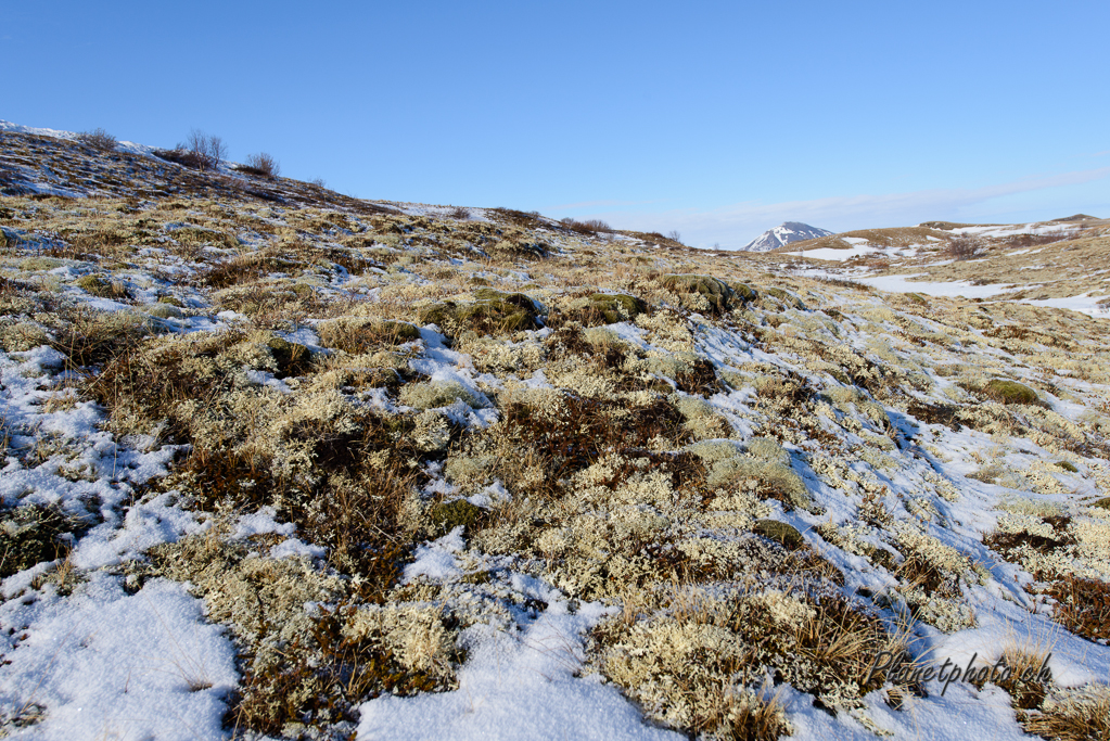 Lac Myvatn