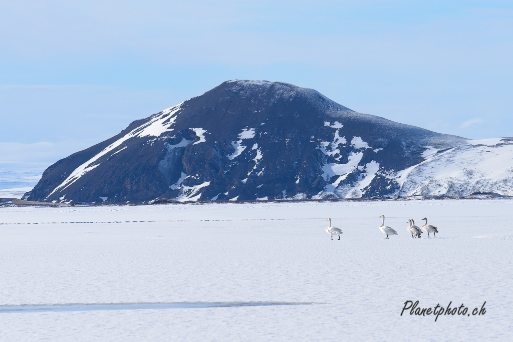 Lac Myvatn