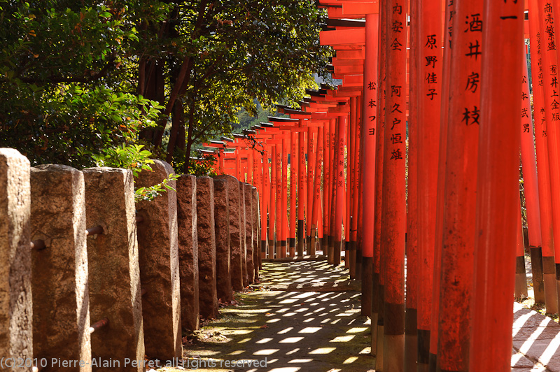 Japon - Tokyo