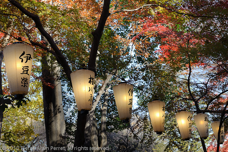 Japon - Tokyo