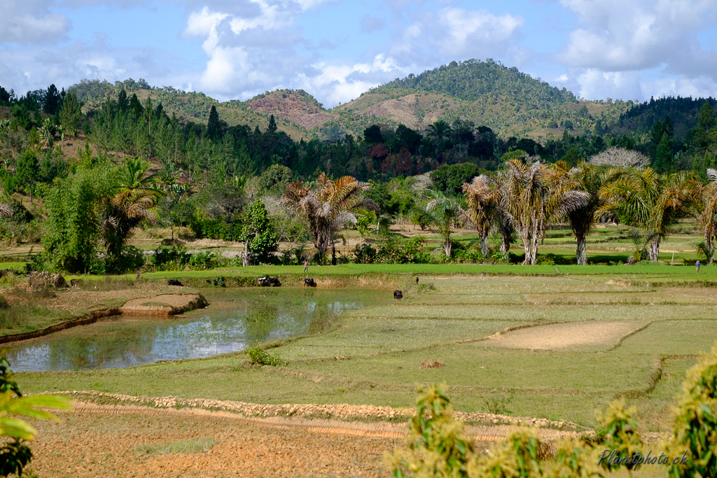 Train Manakara - Fianarantsoa