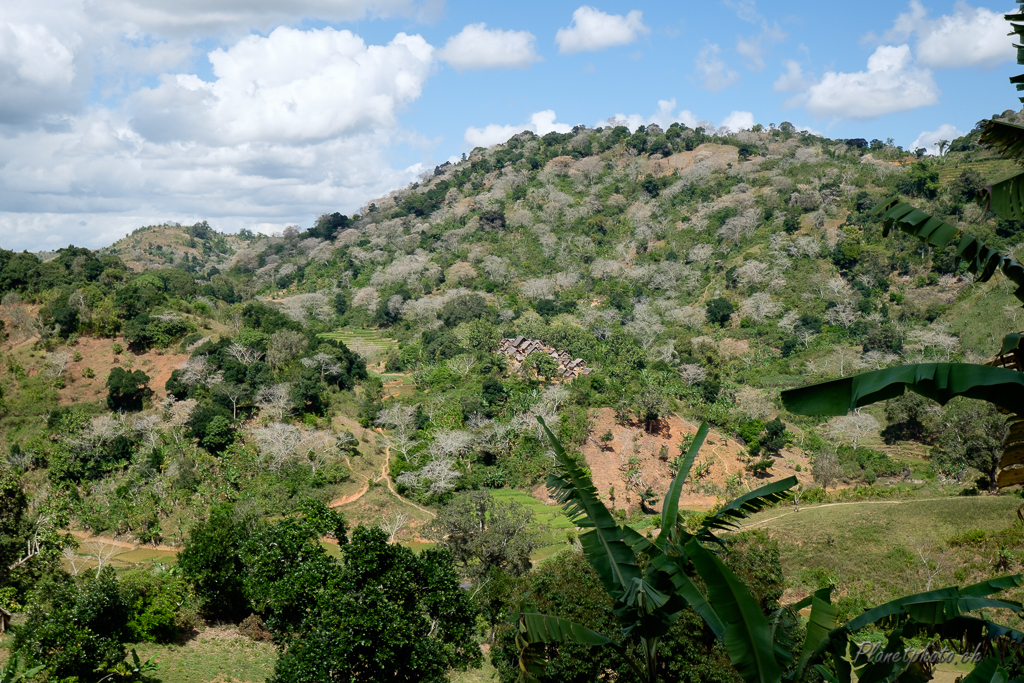 Train Manakara - Fianarantsoa