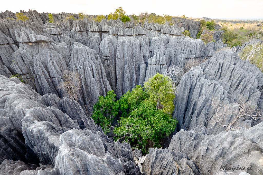 Tsingy de Bemaraha