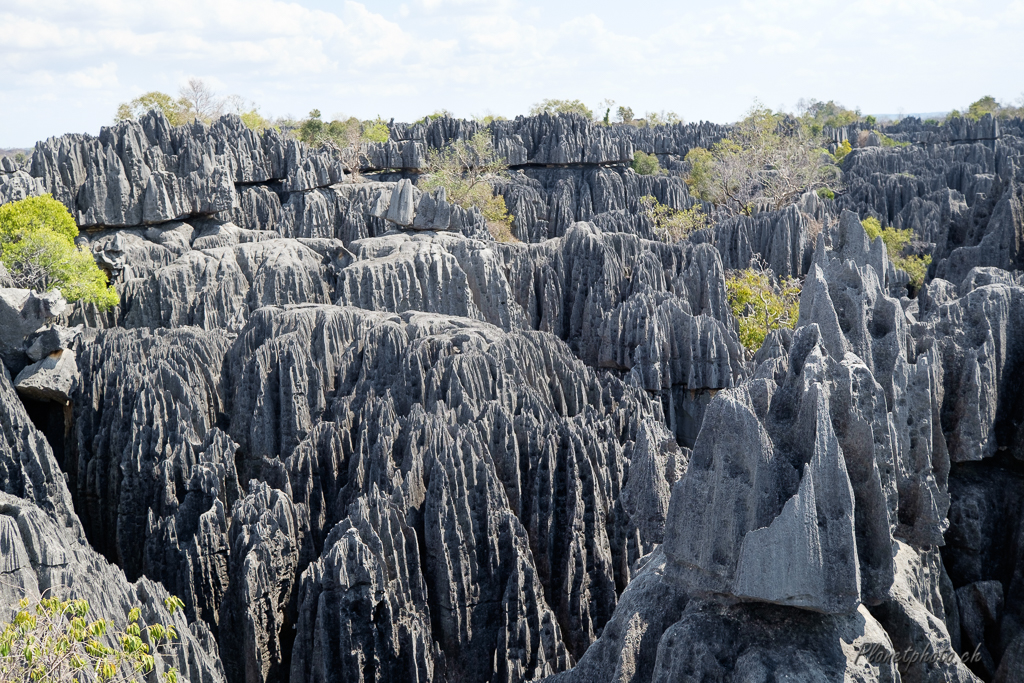 Tsingy de Bemaraha