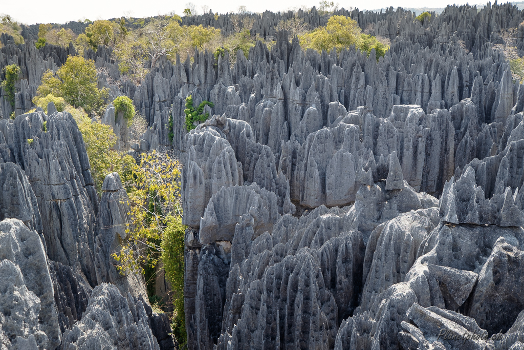 Tsingy de Bemaraha