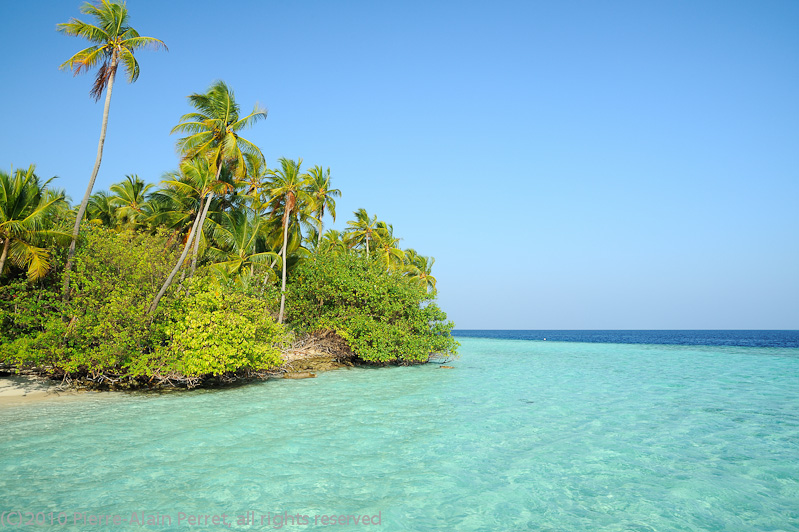 Maldives, Biyadhoo island