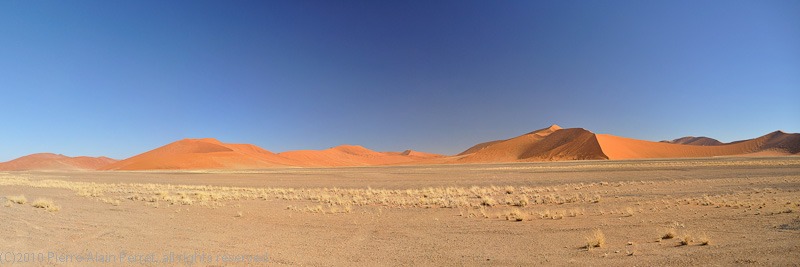 Namib desert