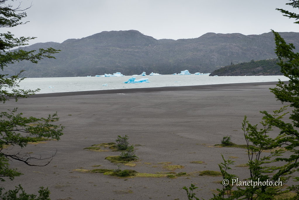 Parc de Torres del Paine - Lac Gris et son glacier