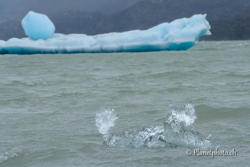 Parc de Torres del Paine - Lac Gris et son glacier