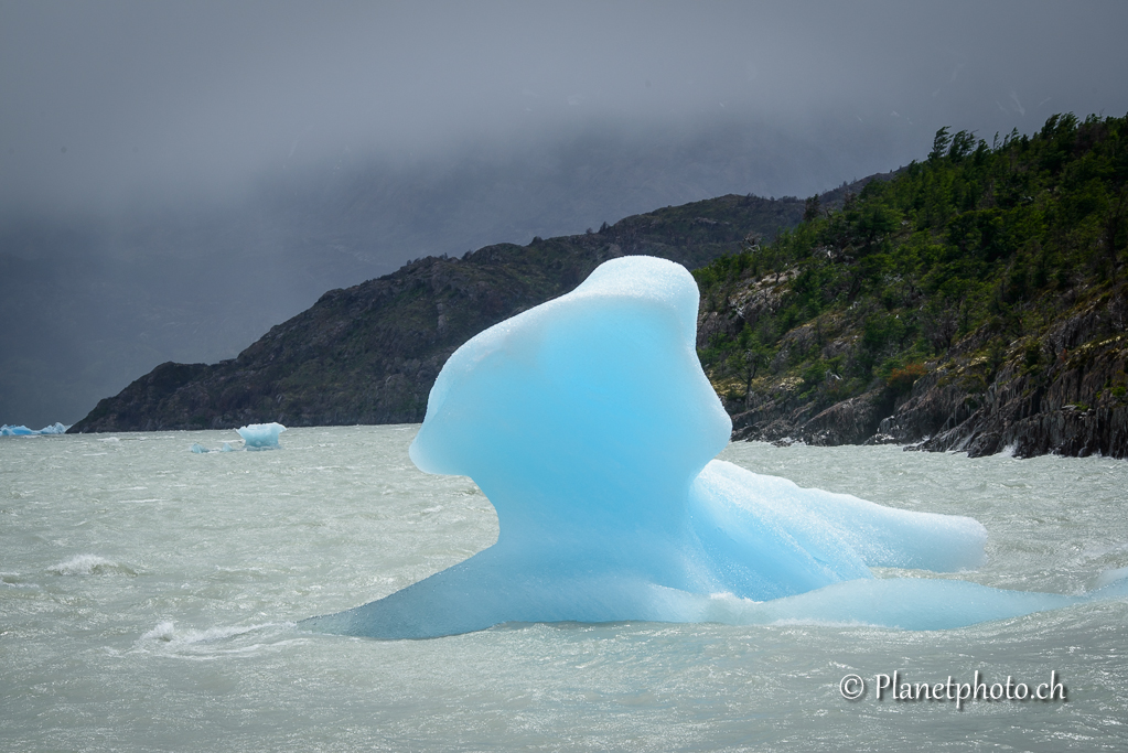 Parc de Torres del Paine - Lac Gris et son glacier