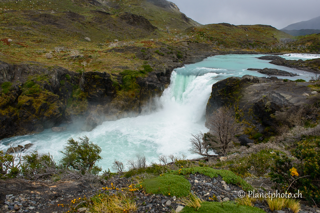 Parc de Torres del Paine