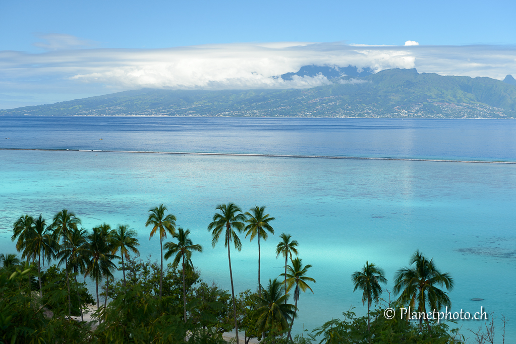 Moorea